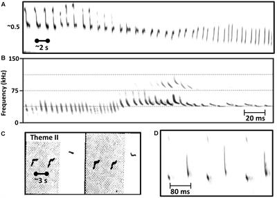 The Sonar Model for Humpback Whale Song Revised